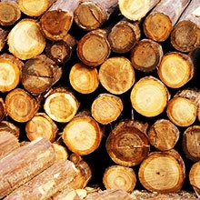 Линия для производства пеллет из биомассы
